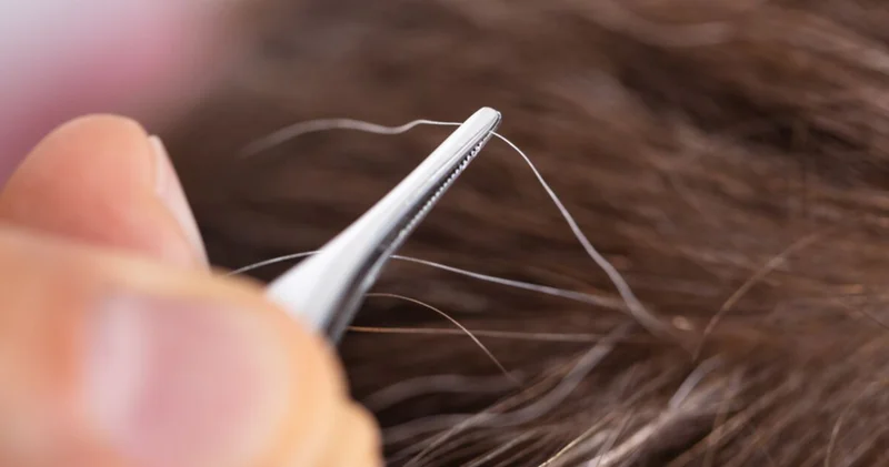 Beyaz saçlarınızı koparırsanız ne olur?