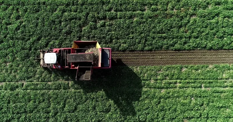 Mezra ziraat 2025 yılında 22 bin 500 dekara ulaştı!