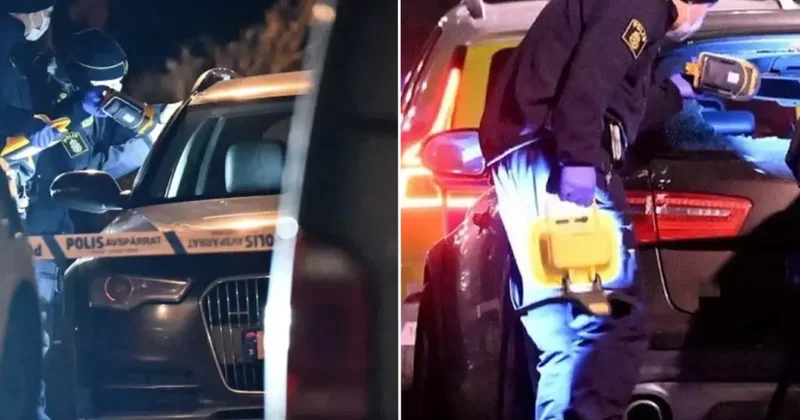 İsveç te kan donduran cinayet: Suikastçı 12 yaşında çıktı