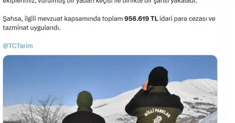 Yaban keçisi vuran avcıya 956 bin TL ceza