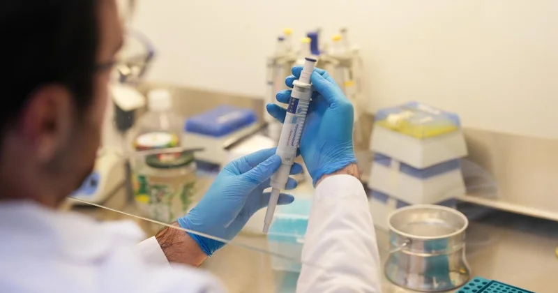 Türk bilim insanları kıyı korozyonu risklerini yapay zekayla belirleyecek