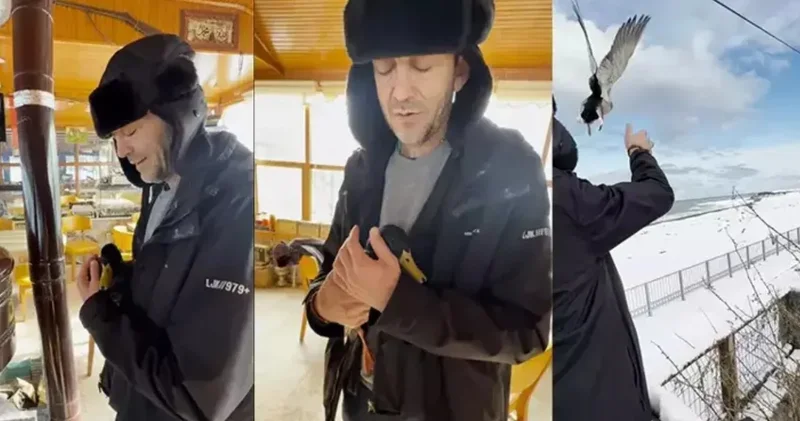 Donarak ölmek üzereydi! Düştüğü yer kaderini değiştirdi