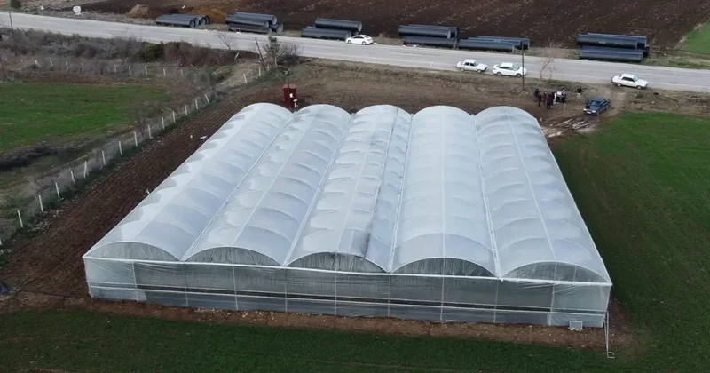 Şehirde asgari ücreti bırakıp köyde kendi işlerini kurdular: Sezonluk getirisi 300 400 bin TL