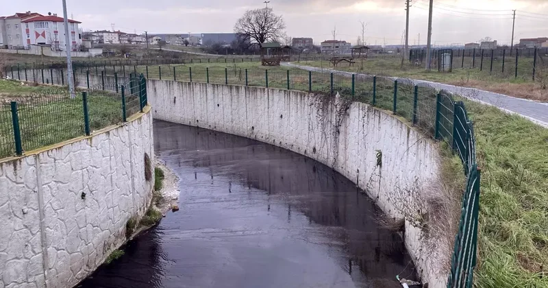 Karaağaç Deresi Kimyasal Atıklarla Kirleniyor