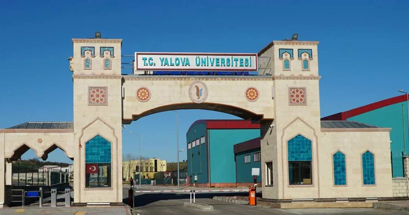 O akademisyen Torpil yaptırmışsın denilince paylaşımını sildi!