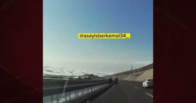 Fotoğraf uğruna canlarını hiçe saydılar!