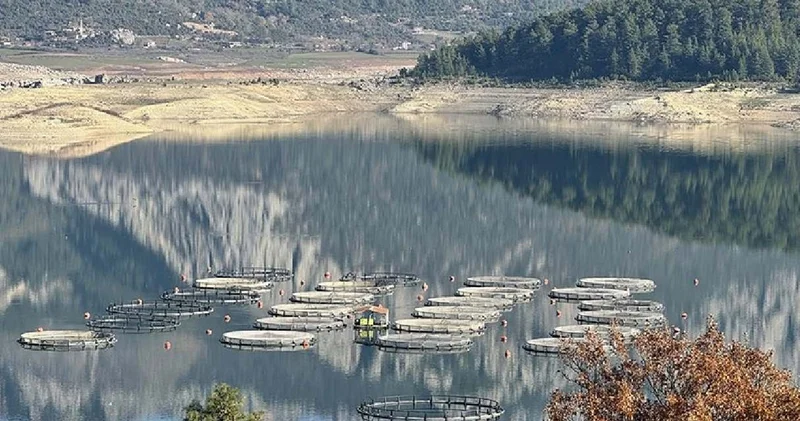 Burdur dan çıkıyor ülkeler sırada bekliyor: Yüzde 80 i yurt dışına gönderiliyor