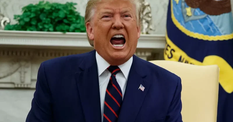 Trump, baltayı bu kez en yakın müttefikine vurdu: Büyük aptallık ve zayıflık