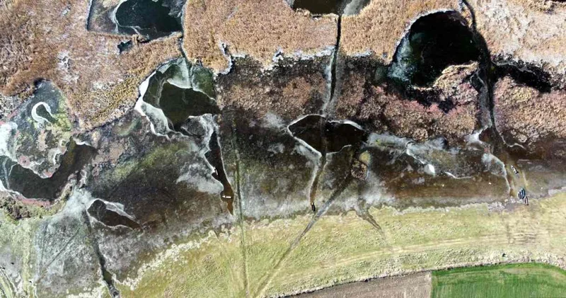 Edirne de Tunca Nehri bile buz tuttu