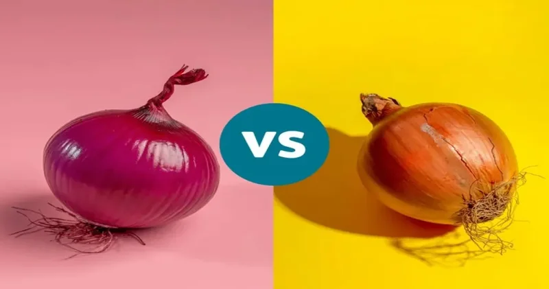 Kırmızı soğan mı sarı soğan mı? Neden salatada kırmızı yemekte sarı?