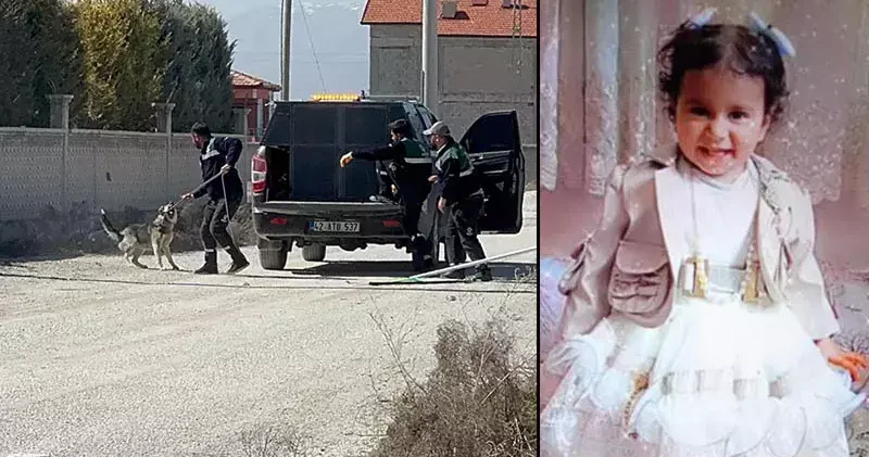 Rana nın köpek saldırısında ölümüne ilişkin 2 belediye yetkilisi hakkında soruşturma izni