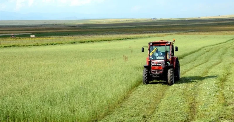 TÜİK açıkladı: Tarımsal Girdi Fiyat Endeksi kasımda arttı