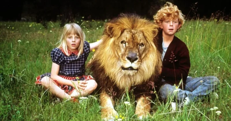 İki Oscarlı oyuncudan korkunç itiraf: Film setinde aslan beni ağzına alıp salladı Sözcü Gazetesi