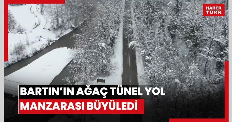 Ağaç tünel yol da, kar yağışı sonrası ortaya çıkan manzara görüntülendi