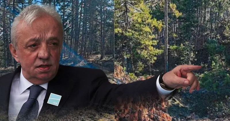 Cengiz in Sinop taki maden projesine onay çıktı: 224 bin ağaç kesilecek!