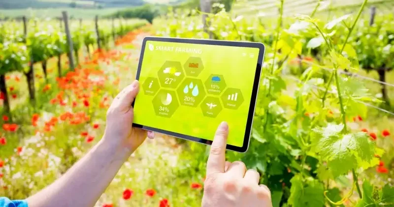 Tarımsal üretimde ‘akıllı’ dönüşüm Ekonomi Haberleri