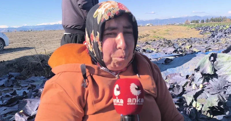 Tarlada çalışan kanser hastası kadın işçinin sözleri yürekleri burktu Sözcü Gazetesi