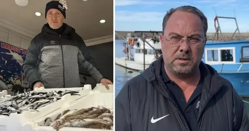 Zonguldak ta balıkçılar bu sezon av miktarında umduğunu bulamadı Zonguldak Haberleri