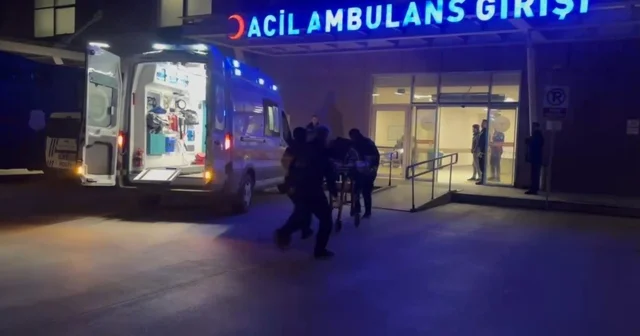 Erzincan da köprüden atlayan şahıs ağır yaralandı Erzincan Haberleri