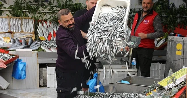 Sezon başında 400 liraydı 50 liraya kadar düştü: Bu yıl ilk kez oldu, rağbet oldukça fazla