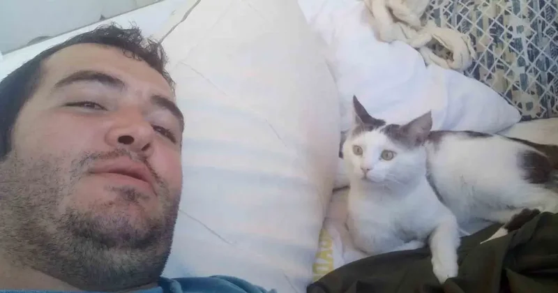 Kaybolan kedisi için binlerce kilometre yol yaptı