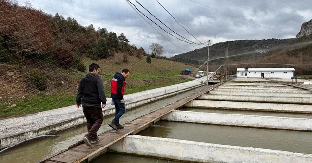 Çavdarhisar da su ürünleri üretim tesislerinde denetim Kütahya Haberleri