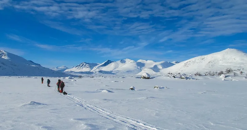 Bilim insanlarından acil çağrı: 3 farklı senaryo, tek bir gerçek var Sözcü Gazetesi