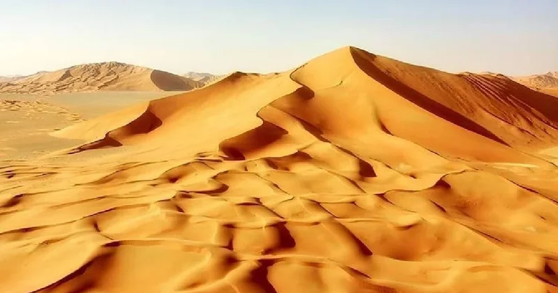 Sahra Çölü nde sırtında bıçak taşıyan dev yaratık keşfedildi Sözcü Gazetesi