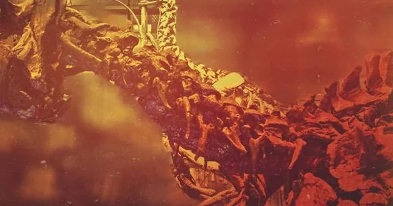 125 milyon yıllık iğneli bebek yaratık bulundu! Sözcü Gazetesi