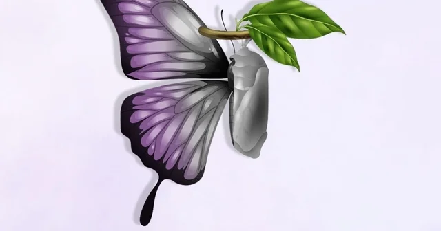 Didim Belediyesi nden Ergenlik ve İlk Gençlikte Kadın Sağlığı Eğitimi Aydın Haberleri