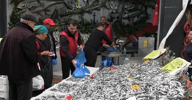 Edirne de hamsinin kilosu 50 liraya düştü, tezgahlar şenlendi Edirne de hamsi bolluğu: Fiyatını duyan sıraya girdi Edirne Haberleri