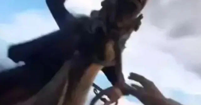 Kayseri Hürmetçi Sazlığı ndaki zorbalıkta 3 sanığın yargılandığı dava ertelendi Kayseri Haberleri