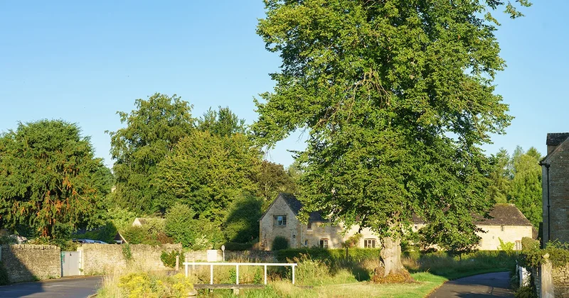 Bu köyde 120 yıldır bir bina bile inşa edilmiyor Sözcü Gazetesi