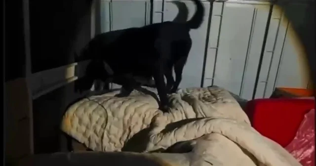 Kamyonet kasasında battaniyeyle saklanan 11 kilo 200 gram uyuşturucu yakalandı Hatay Haberleri