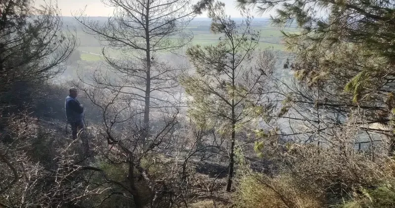 Hatay da çıkan orman yangını kontrol altına alındı Gündem Haberleri