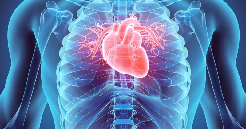 Tok karnına soğuk havada kalanlara uyarı! Haberler Sağlık Haberleri