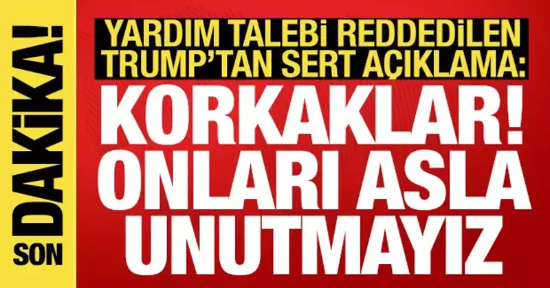 ABD den NATO ya korkak tepkisi: Biz yokken kağıttan kaplanlar