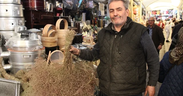 Çalı süpürgesi teknolojiye direniyor Aydın Haberleri