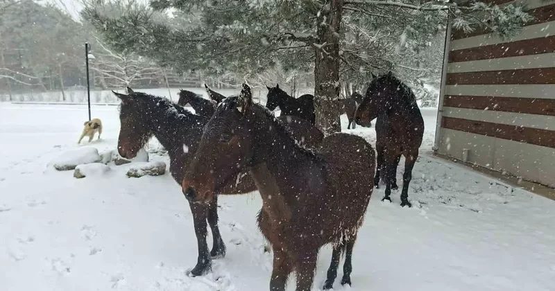 Bayramda Spil’e kar sürprizi
