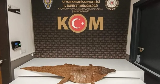 Polis durdurduğu araçta timsah derisi ele geçirdi Afyonkarahisar Haberleri