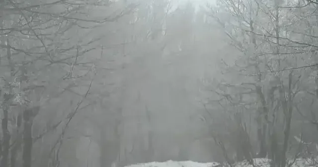 Tekirdağ ve Kırklareli nin yüksek kesimlerinde kar etkili oluyor VİDEO İZLE