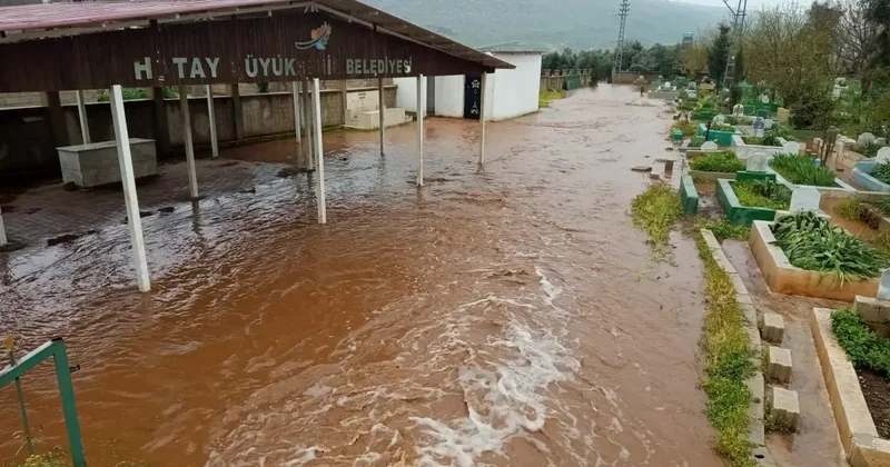 Reyhanlı da Sel Tehlikesi: Çoban Kuzuları Kurtardı
