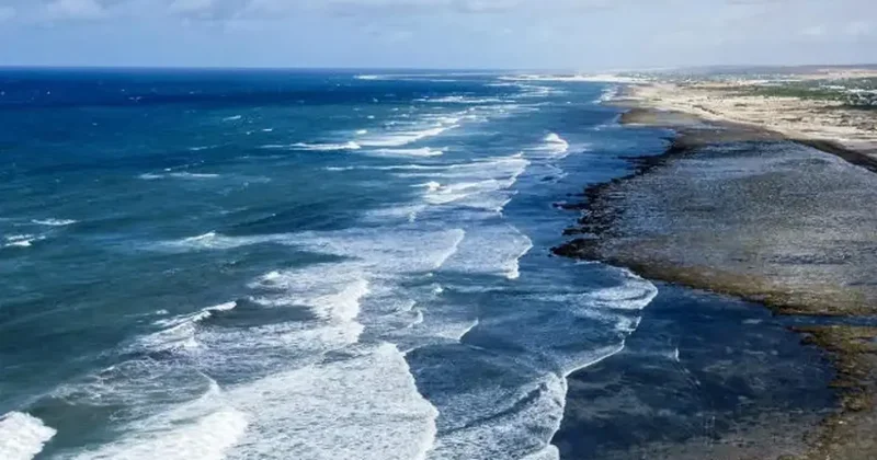 Oy birliğiyle kabul edildi! Türkiye gözlemci ülke oldu