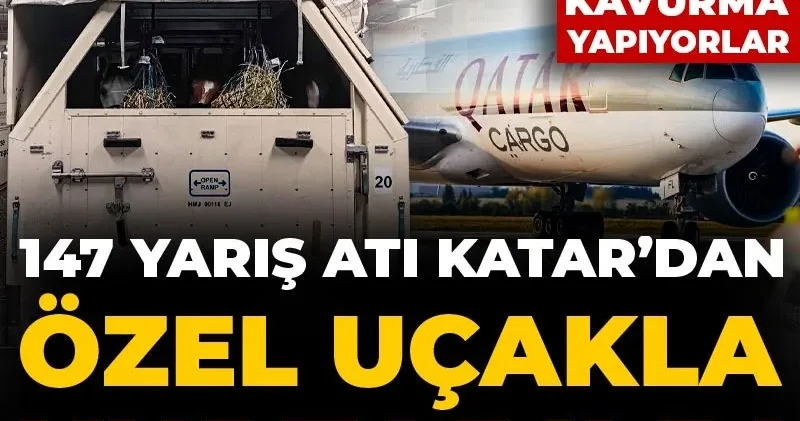 Bizde kavurma yapıyorlar: 147 yarış atı özel uçağa bindi