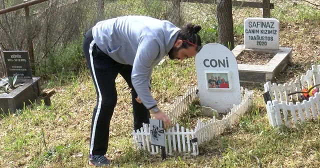 Türkiye nin ilk evcil hayvan mezarlığına bayram ziyareti Bursa Haberleri