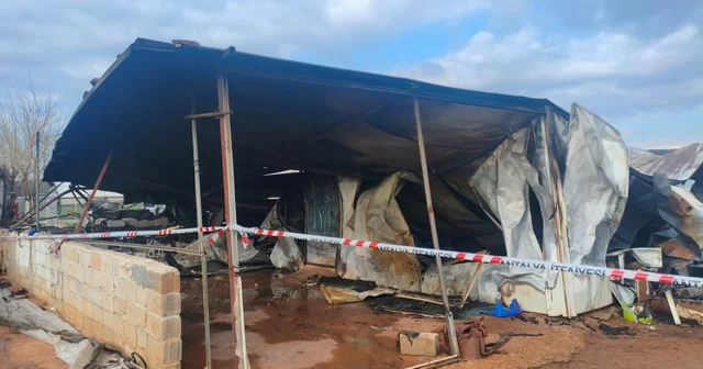 Antalya da konteynerde yangın; 5 i çocuk 6 ölü Antalya Haberleri