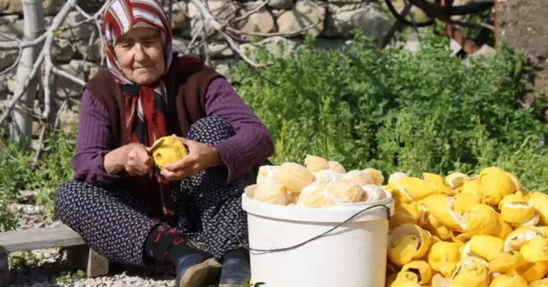 Dalında 20, kuruyunca 65 TL den satılıyor