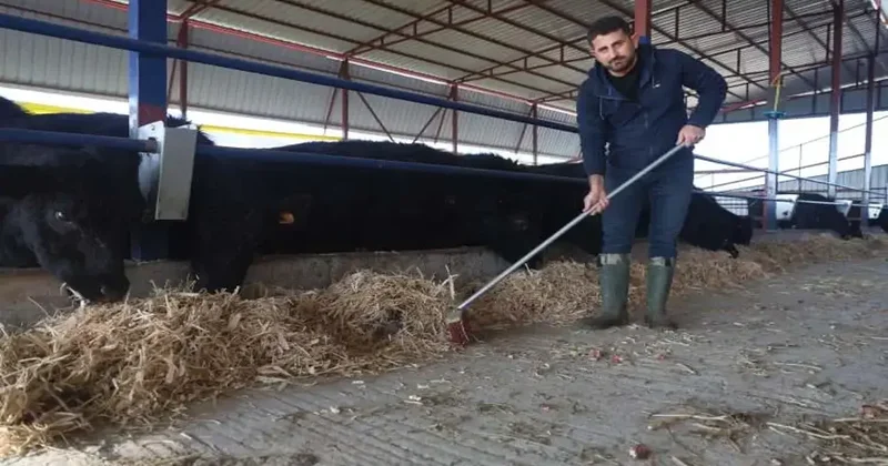 Mühendisliği bırakıp hayvancılığa başladı