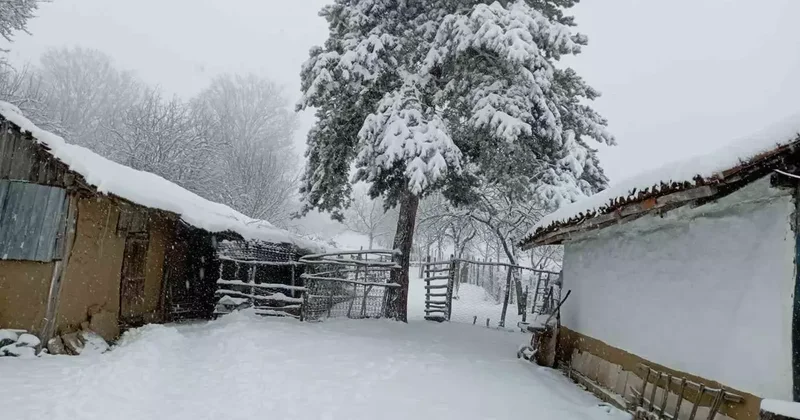Bilecik bayram sabahına beyaz örtüyle uyandı