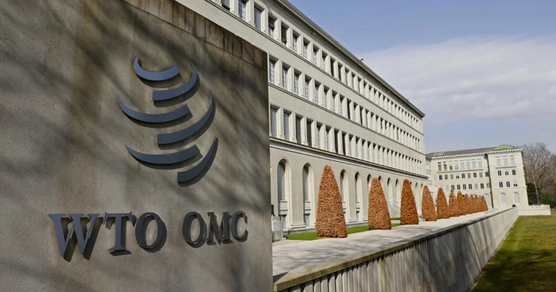 DTÖ: Küresel ticaret büyümesi tehlikede